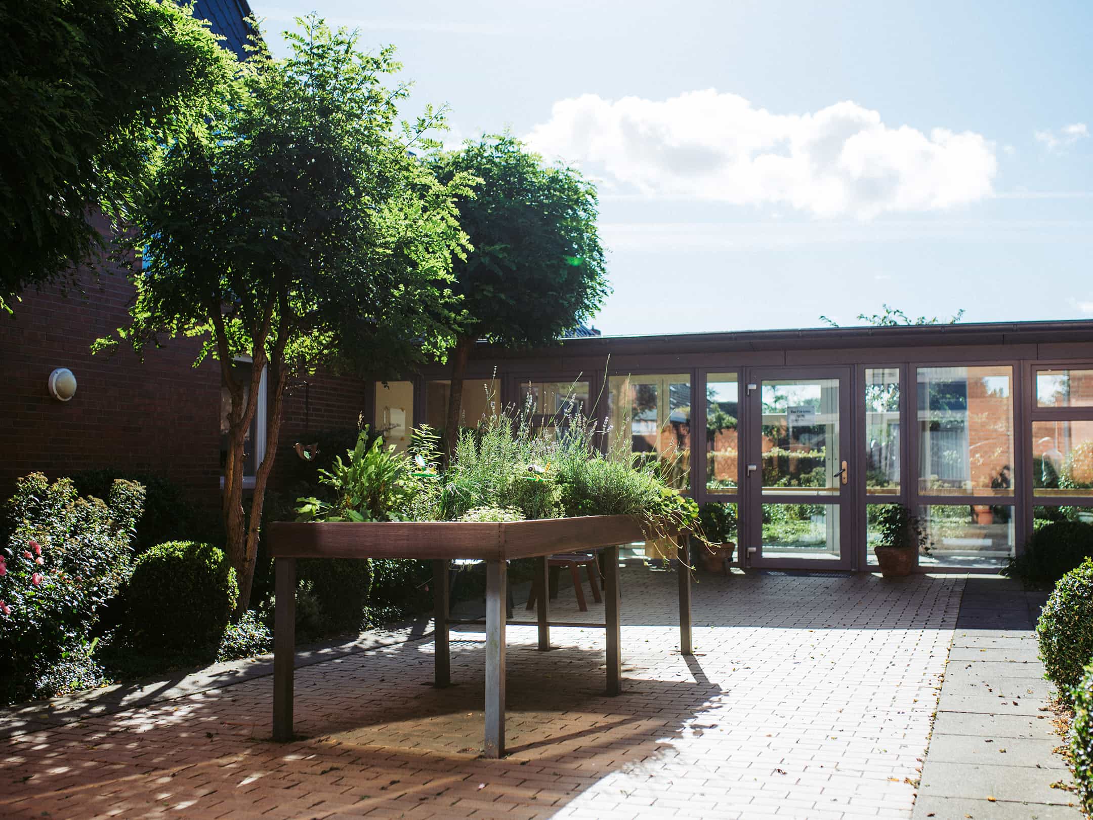 Palliativfachkraft (m/w/d) - Wir haben den passenden Job für Dich! Struckum - DRK Pflegewohnanlage Haus Sprackelbarg - Praxia