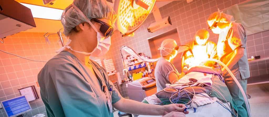 Pflegefachkraft (m/w/d) für Chirurgie (Kinderchirurgie) - Werden Sie Teil eines dynamischen Teams! Hannover - Kinder- und Jugendkrankenhaus Auf Der Bult - Praxia