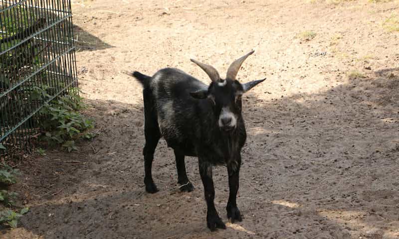 Gelernte Pflegehilfskraft (m/w/d) - Gestalte mit uns gemeinsam die Zukunft! Berlin - Senioren- und Therapiezentrum Haus Havelblick - Praxia