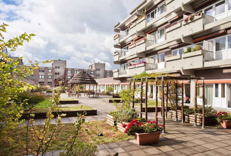 Praxisanleitung (m/w/d) - Tolles Team sucht neue Kolleg:innen! Köln - CURA Maternus Seniorencentrum Köln-Rodenkirchen - Praxia