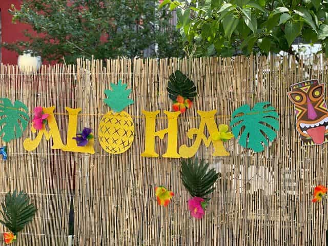 Wohnbereichsleitung (m/w/d) - Wir bieten Dir alle Möglichkeiten! Düsseldorf - PRO TALIS Seniorenzentrum An der Rotdornstraße - Praxia