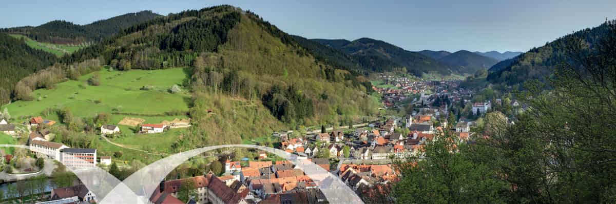 Pflegefachkraft (w/m/d) in VZ oder mind. 50% TZ - Kommen Sie in unser Team! Wolfach - Brenzheim (Johannes Brenz Pflegeheim) - Praxia