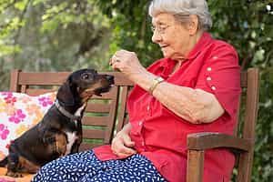 Pflegefachkraft (m/w/d) als Dauernachtdienst - Werde Teil des Teams! Berlin - Vitanas Senioren Centrum Bellevue - Praxia