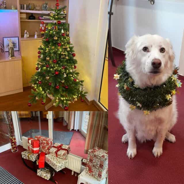 Pflegefachkraft (m/w/d) für den 3-Schichtdienst - Dein neuer Arbeitsplatz in einem Team, auf das Du zählen kannst! Düsseldorf - Emvia Senioren-Wohnpark Düsseldorf Volksgarten - Praxia