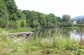 Pflegefachkraft (m/w/d) - Herzlich willkommen! Goslar - Stella Vitalis Seniorenzentrum Goslar - Praxia