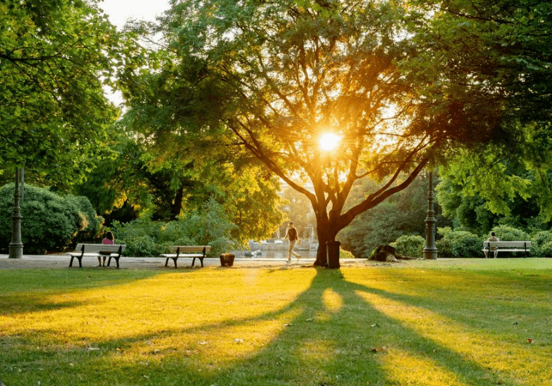 Gerontopsychiatrische Fachkraft (m/w/d) – Wir suchen Zuwachs in unserem Team! Wiesbaden - GDA Hildastift am Kurpark - Ambulant - Praxia