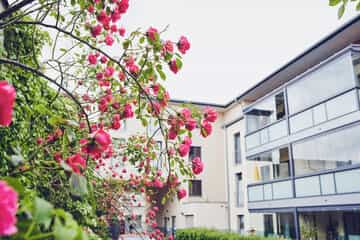 Pflegefachkraft (m/w/d) - Dein Bestes können wir bestens gebrauchen! Uetersen - Johanniter Haus Am Rosarium - Praxia