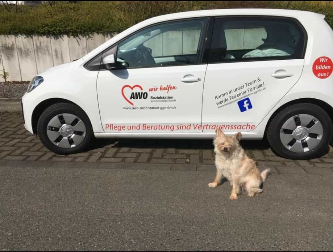 Pflegefachkraft (m/w/d) in Teilzeit (30-33 Stunden/Woche) - Familiäres Team sucht Zuwachs! Langenfeld (Rheinland) - Sozialstation Langenfeld - Praxia