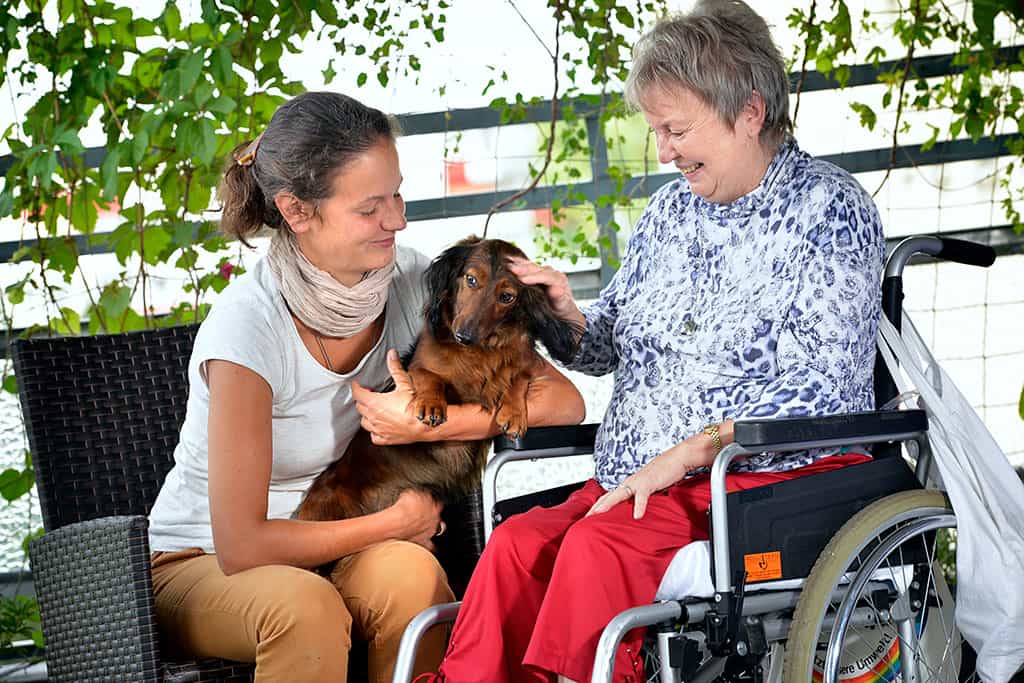 Pflegefachkraft (m/w/d) im Tagesdienst ab 01.01.26- Werde Teil unseres Teams! Dresden - ASB-Seniorenheim Dresden "Am Gorbitzer Hang" - Praxia