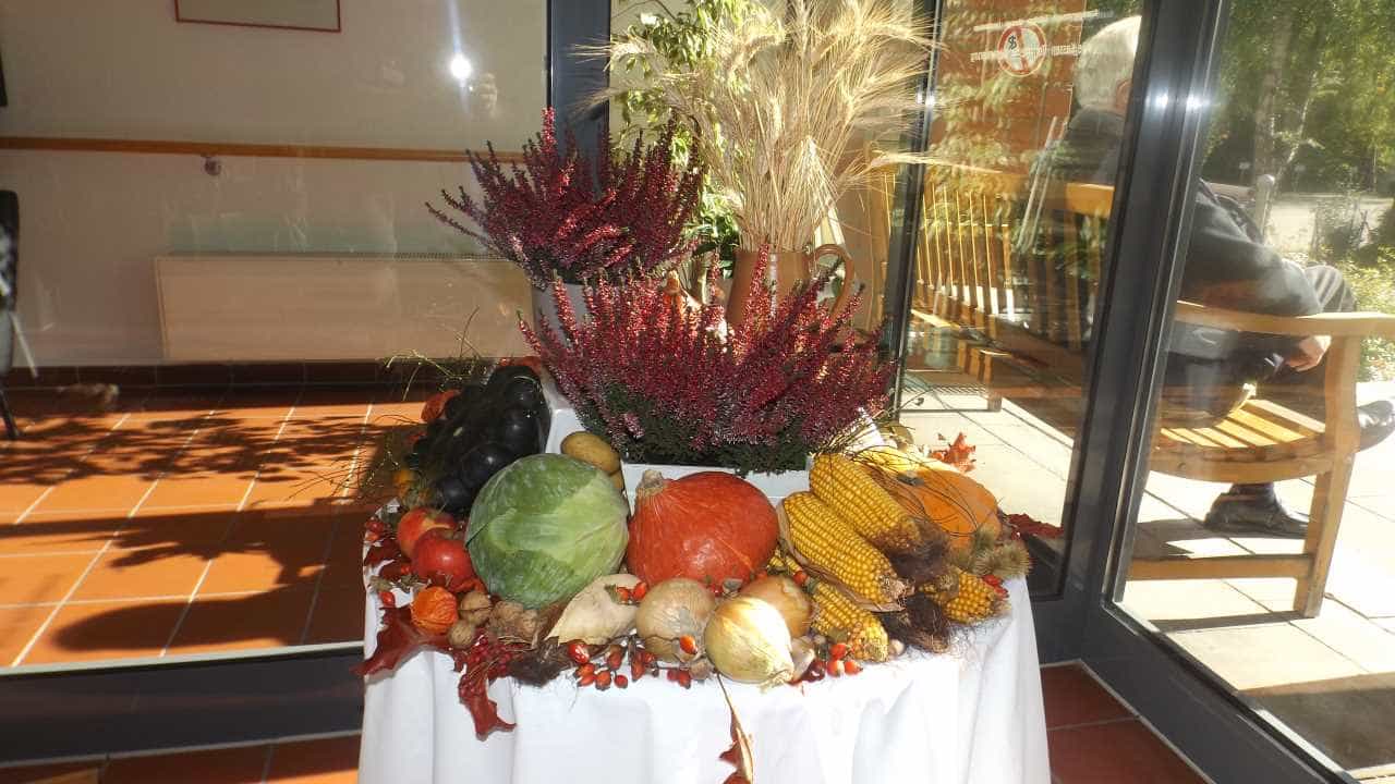 Pflegefachkraft (m/w/d) - Humor am Arbeitsplatz wird bei uns gern gesehen! Minden - Senioren-Park carpe diem Minden - Praxia