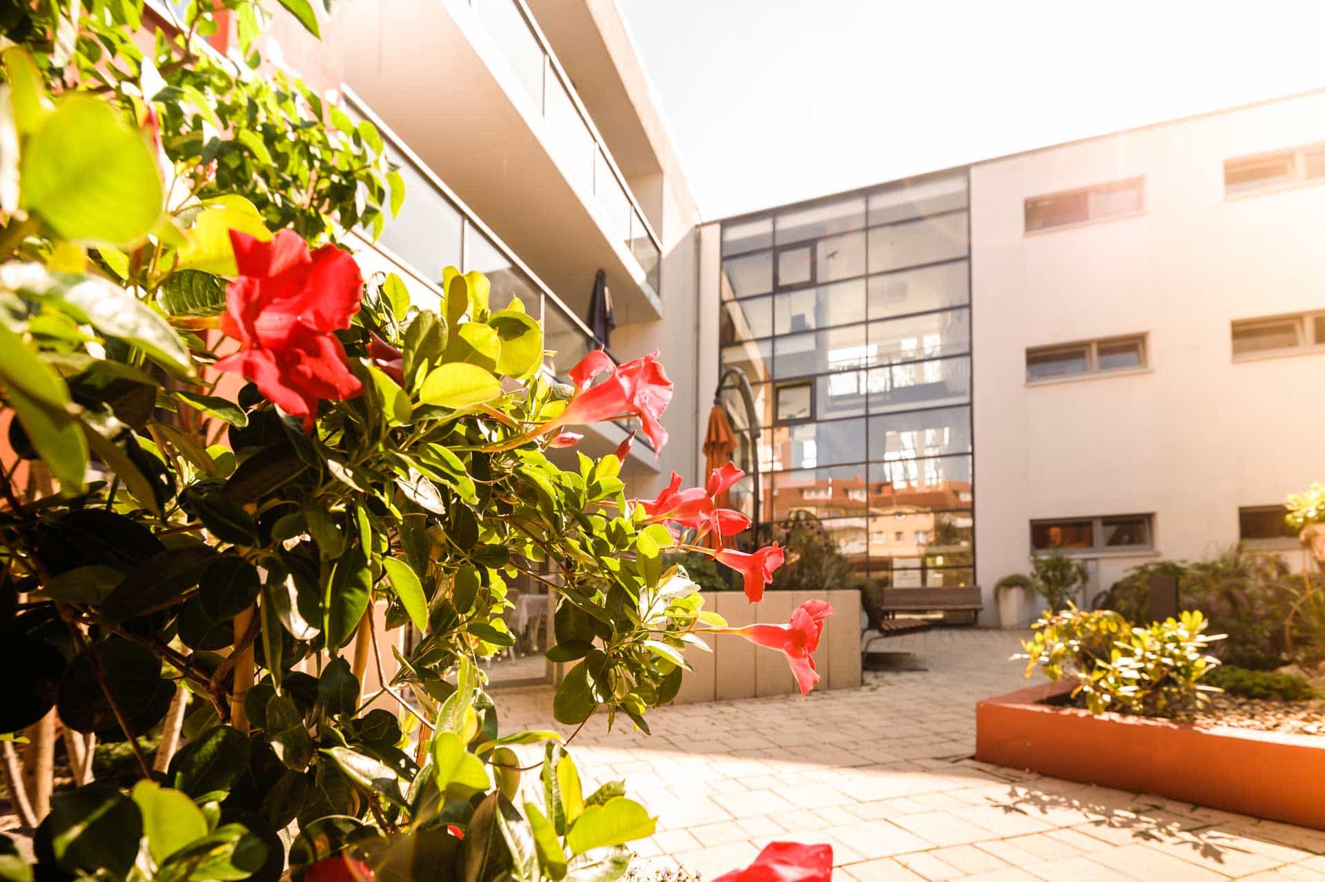 Gelernte Pflegehilfskraft (m/w/d) - Auf zu neuen Ufern!  Wismar - Seniorenpflegeheim Haus Seestern - Praxia