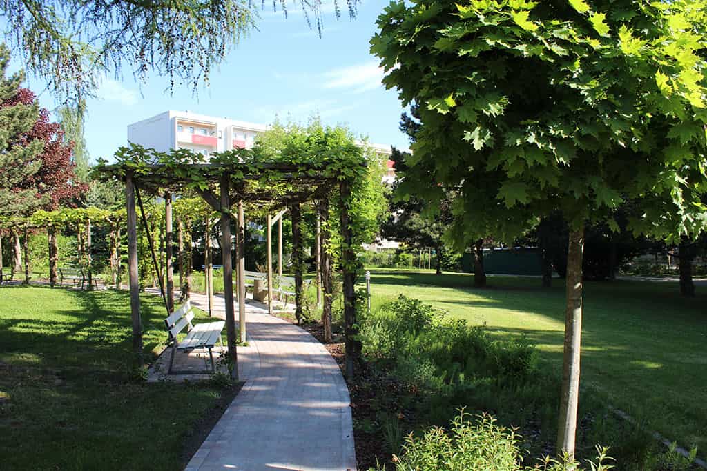 Pflegefachkraft (m/w/d) im Tagesdienst ab 01.01.26- Werde Teil unseres Teams! Dresden - ASB-Seniorenheim Dresden "Am Gorbitzer Hang" - Praxia