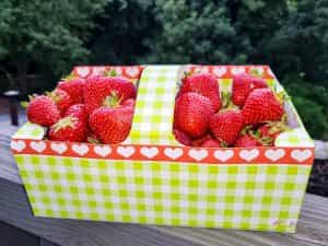 Geronto-Fachkraft (m/w/d) - Bei uns kannst Du Dich geborgen fühlen! Oberkirch - Seniorenzentrum St. Barbara Oberkirch - Praxia