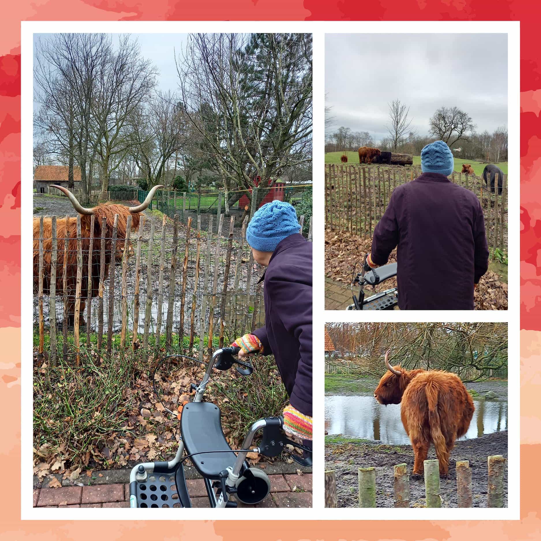 Gerontopsychiatrische Fachkraft (w/m/d) - Wir wollen Persönlichkeit! Saterland - Emeis - Seniorenresidenz Christopherus (Peter Janssen) - Praxia