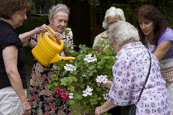Gerontopsychiatrische Fachkraft (m/w/d) - Werde unser Held! Berlin - Vitanas Senioren Centrum Frohnau - Praxia