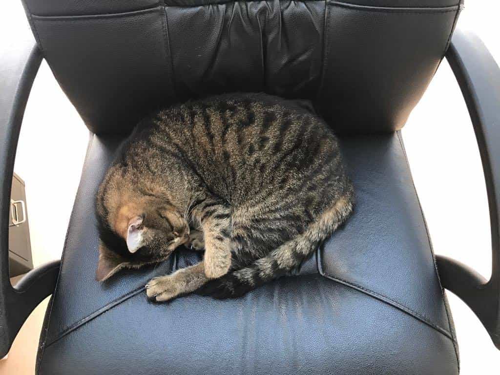 Pflegefachkraft (m/w/d) - Werde Teil unseres Teams! Pirna - AlexA Seniorenresidenz Pirna - Praxia