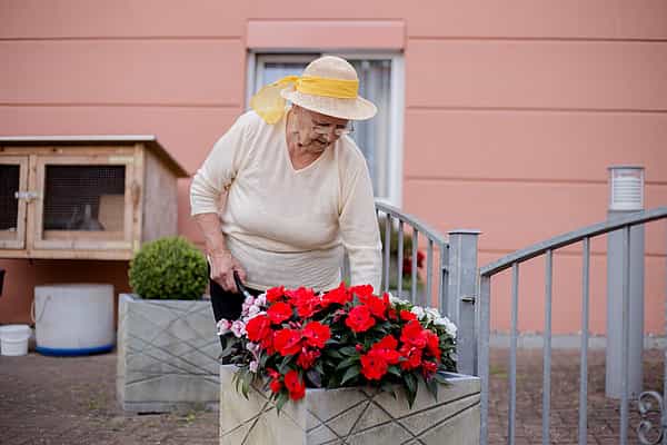 Pflegefachassistenz (m/w/d) - Werde unser Held! Schwerin - Vitanas Senioren Centrum Am Schlossgarten - Praxia