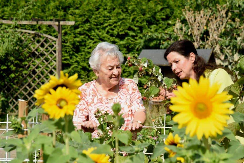 Pflegefachkraft (m/w/d) - Wir freuen uns auf Sie! Parchim - Alten- und Pflegeheim St. Nikolaus, Parchim  - Praxia