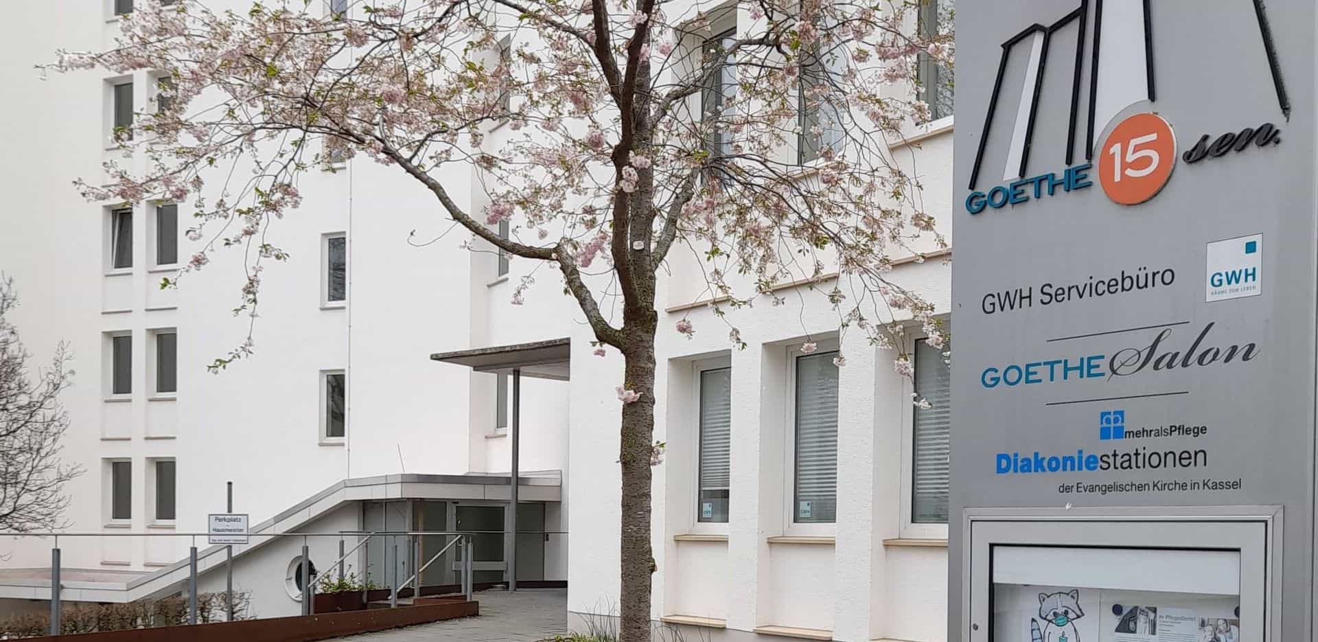 Gelernte Pflegehilfskraft (w/m/d) - Erweitere unser Team! Kassel - Diakoniestationen der Ev. Kirche in Kassel - Praxia